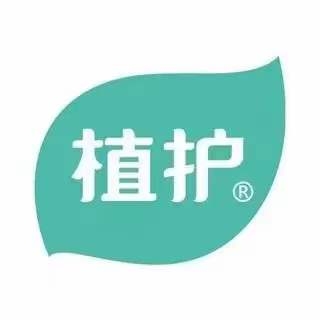 維亞造紙機械與來(lái)賓廣西植護云商7、8號機正式簽約